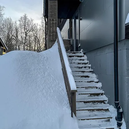 Observation Aurora * ترومسو