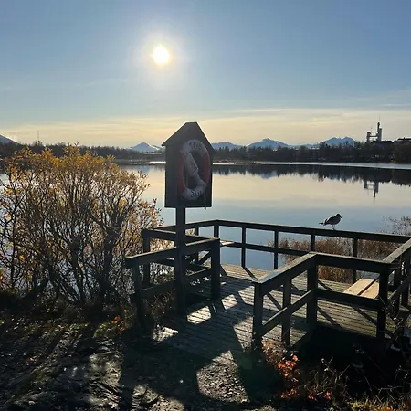 Observation Aurora شقة ترومسو