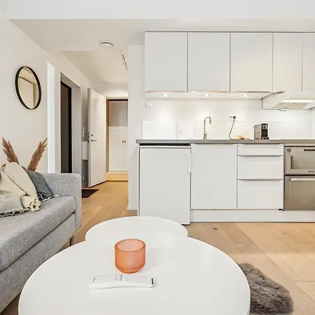 Observation Aurora * トロムソ